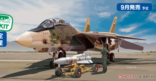 イラン空軍 F-14A トムキャット (限定品) (プラモデル) その他の画像1