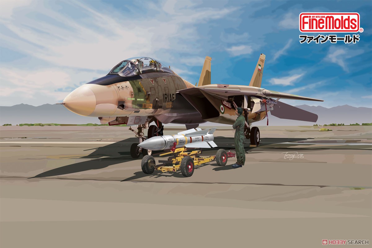イラン空軍 F-14A トムキャット (限定品) (プラモデル) その他の画像2
