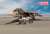 イラン空軍 F-14A トムキャット (限定品) (プラモデル) その他の画像2