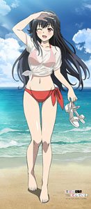 The Detective Is Already Dead [Especially Illustrated] Nagisa Natsunagi Life-size Tapestry (Anime Toy)