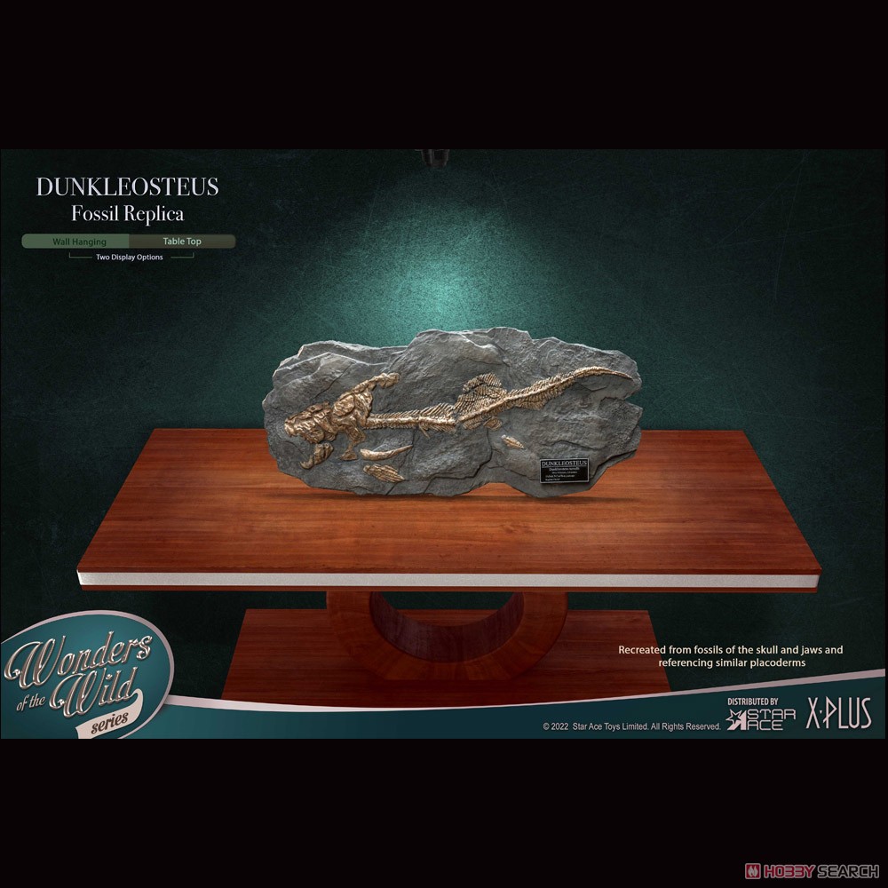 Star Ace Toys Dunkleosteus Fossil Replica (Completed) Other picture2