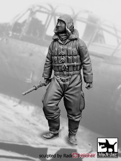 WW.II 日本軍 戦闘機パイロット フィギュア No.2 (プラモデル) その他の画像1