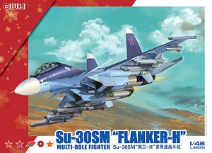 Su-30SM Flanker H (Plastic model)