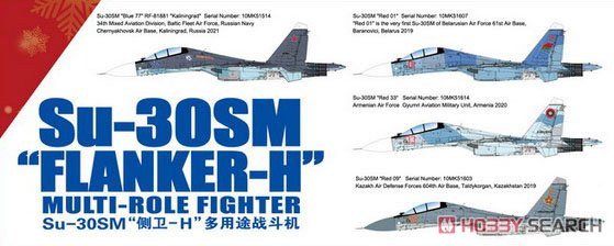 Su-30SM Flanker H (Plastic model) Other picture1