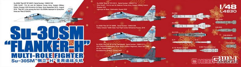 Su-30SM Flanker H (Plastic model) Other picture2