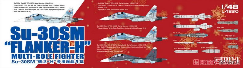 Su-30SM フランカーH (プラモデル) その他の画像2