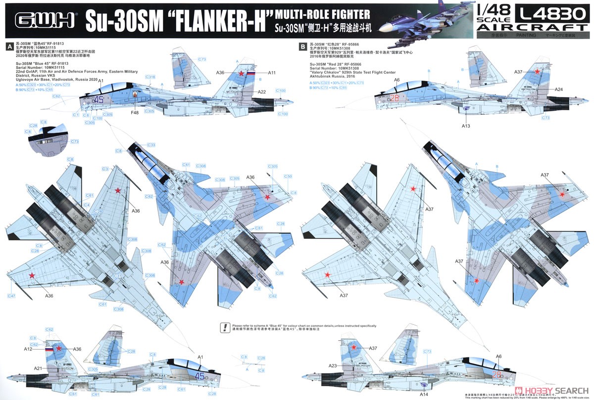 Su-30SM フランカーH (プラモデル) 塗装2