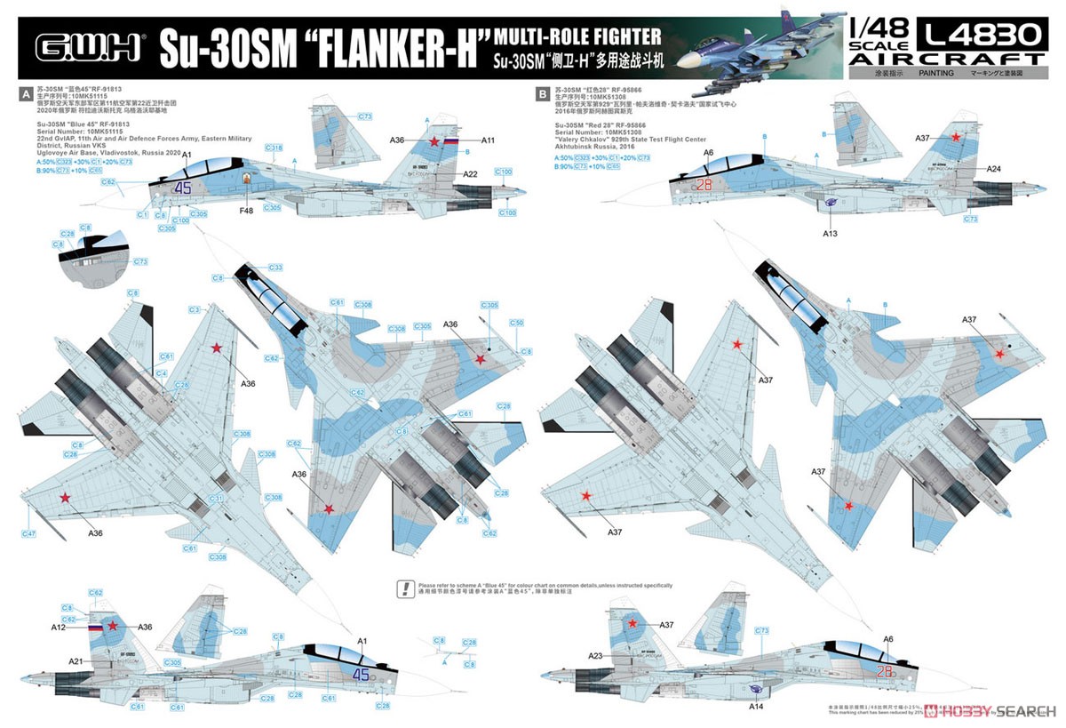 Su-30SM フランカーH (プラモデル) 塗装2