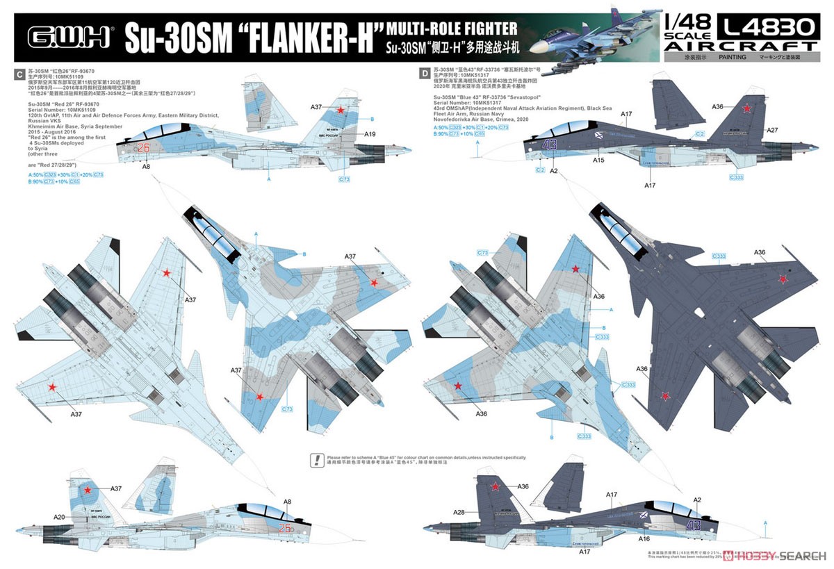 Su-30SM フランカーH (プラモデル) 塗装3