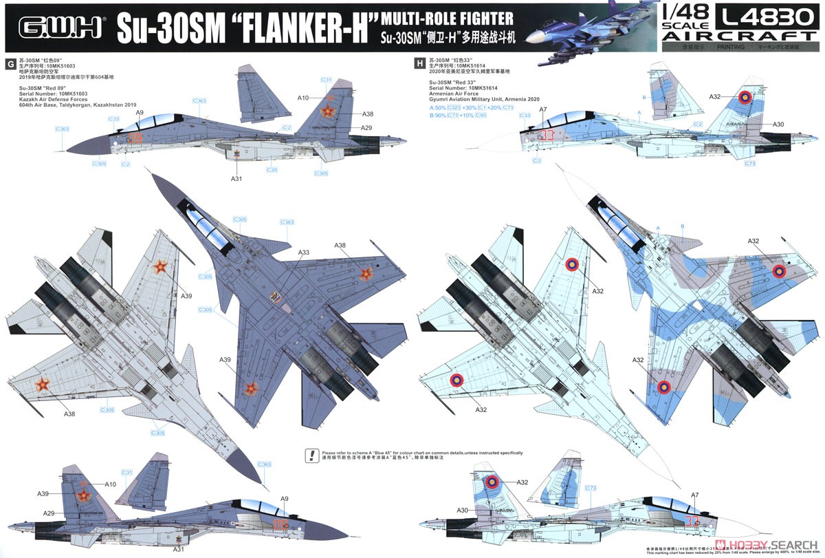 Su-30SM Flanker H (Plastic model) Color5