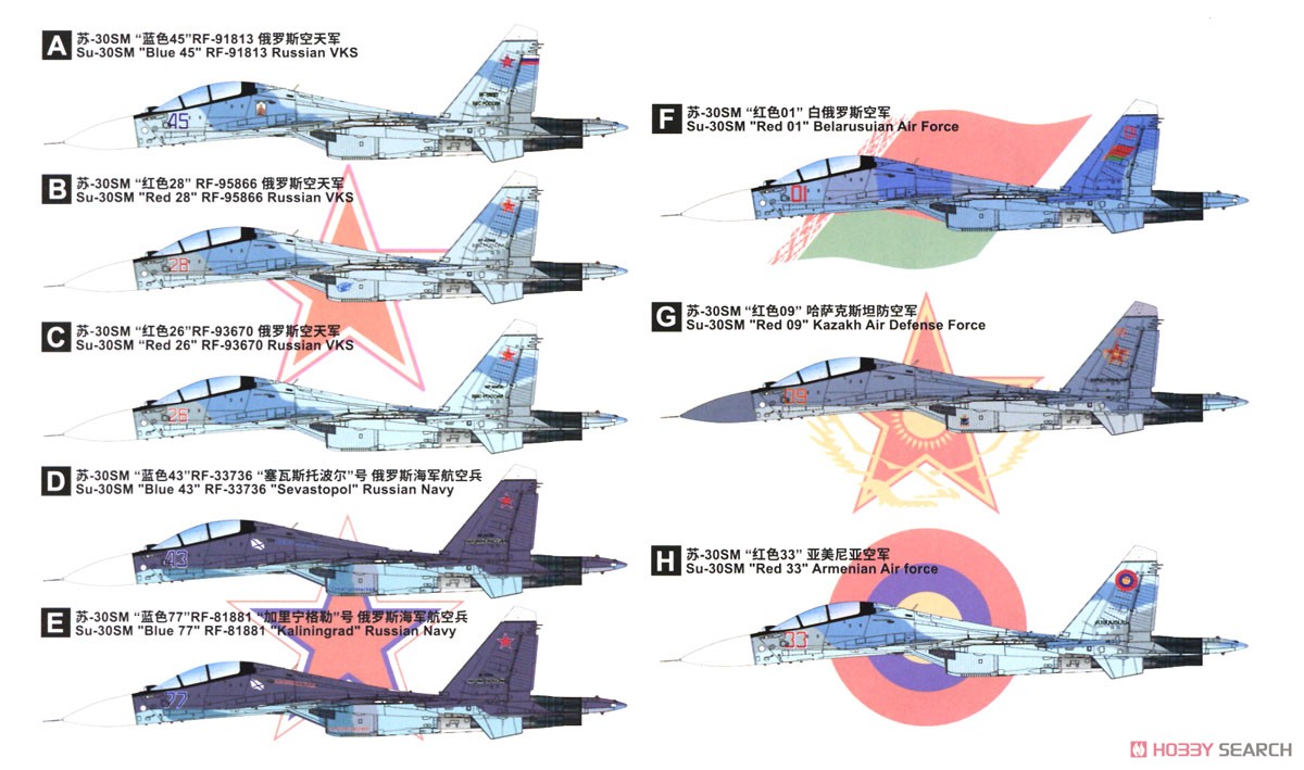 Su-30SM Flanker H (Plastic model) Color6