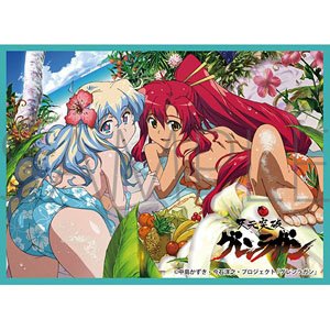 Chara Sleeve Collection Mat Series Tengen Toppa Gurren Lagann Nia & Yoko (No.MT1235) (Card Sleeve)