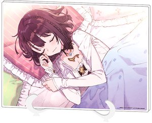 アクリルアートボード (A5サイズ) 「ソフィーのアトリエ2 ～不思議な夢の錬金術士～」 01 ソフィー (キャラクターグッズ)