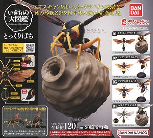 The Diversity of Life on Earth Potter wasp (Toy)