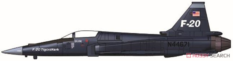 F-20 プロトタイプ No.3 (プラモデル) 塗装1