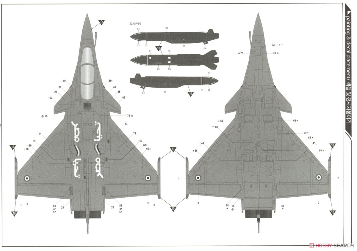 ラファールC `フランス空軍 第1戦闘飛行隊 プロヴァンス 2012` (プラモデル) 塗装3