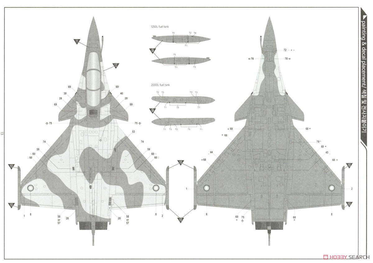 ラファールC `フランス空軍 第1戦闘飛行隊 プロヴァンス 2012` (プラモデル) 塗装7