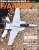 Famous Battle Plane in the World F/A-18E/F Super Hornet (Book) Item picture1
