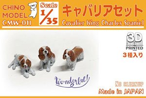 Cavalier King Charles Spaniel (Plastic model)