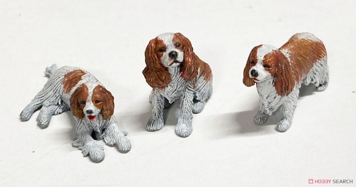 Cavalier King Charles Spaniel (Plastic model) Item picture1