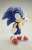 SoftB Sonic the Hedgehog (Completed) Item picture5