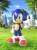 SoftB Sonic the Hedgehog (Completed) Other picture1