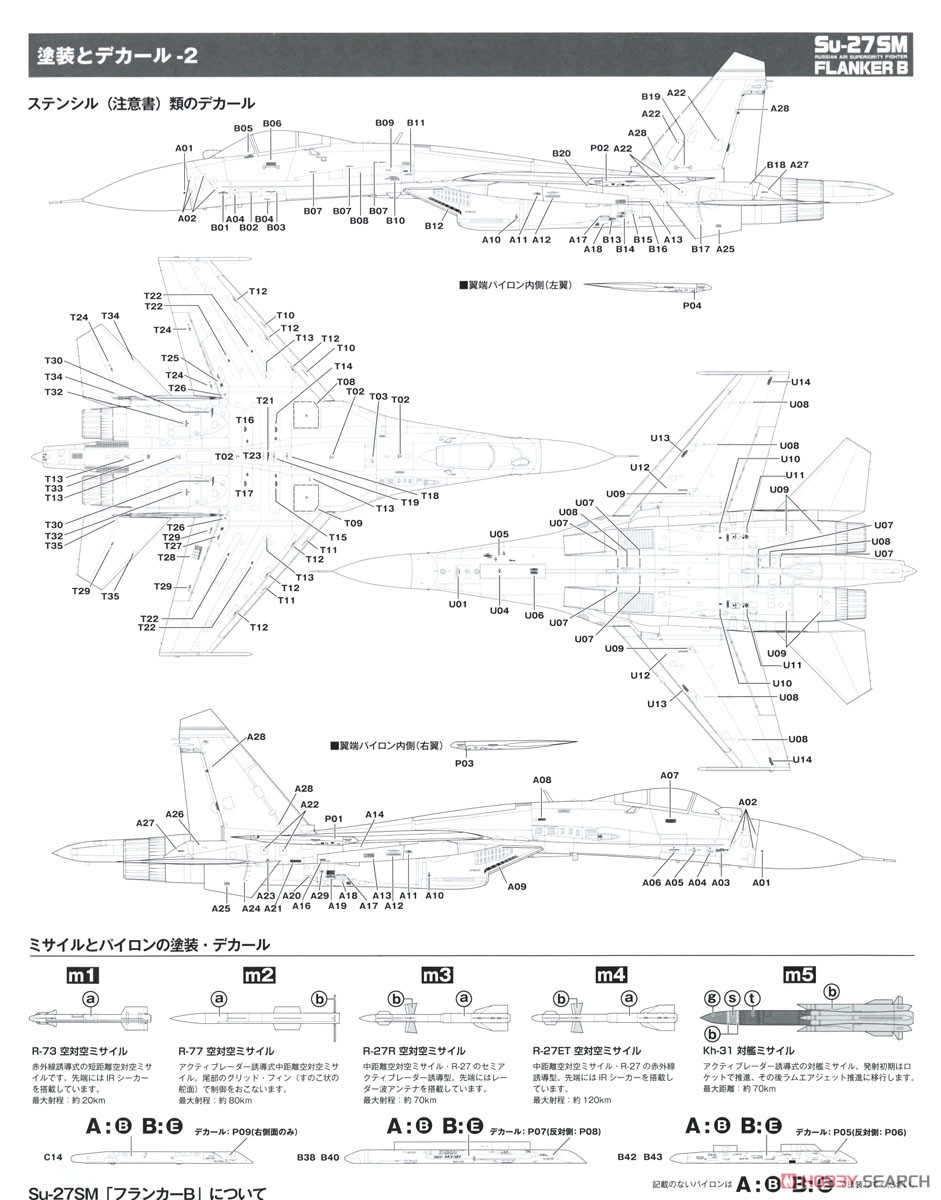 Su-27SM Flaneker B w/Camouflage Paper Pattern (Plastic model) Color3