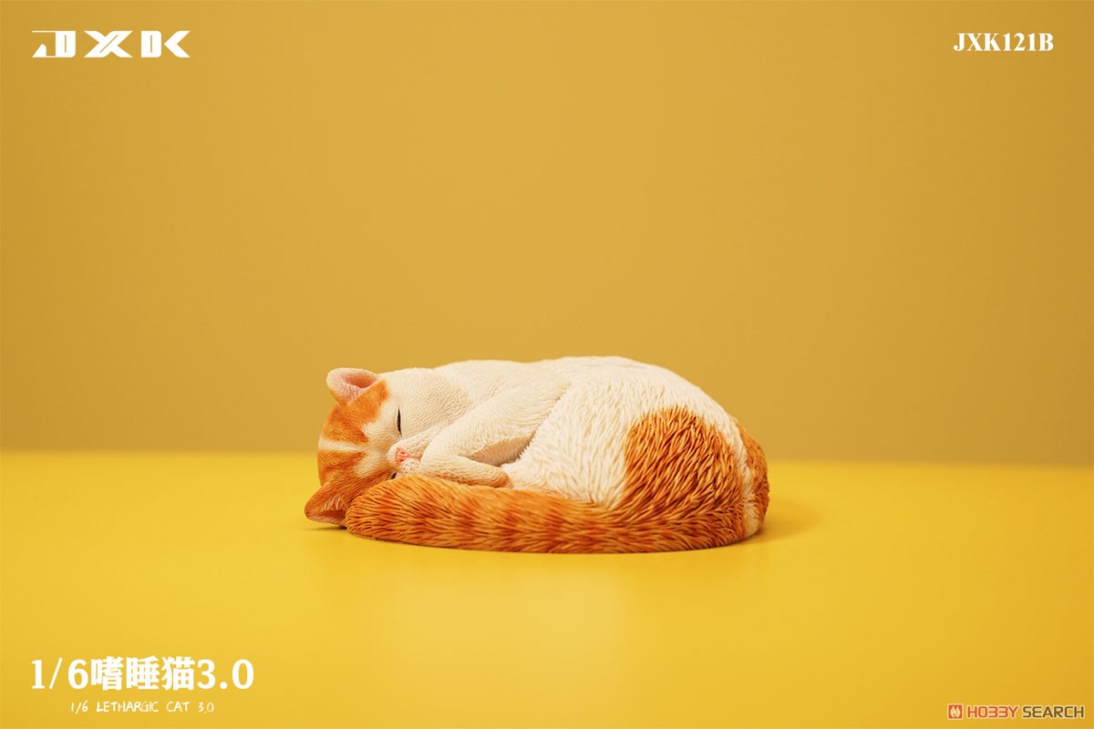 1/6 惰眠を貪る猫 3.0 B (ドール) 商品画像3