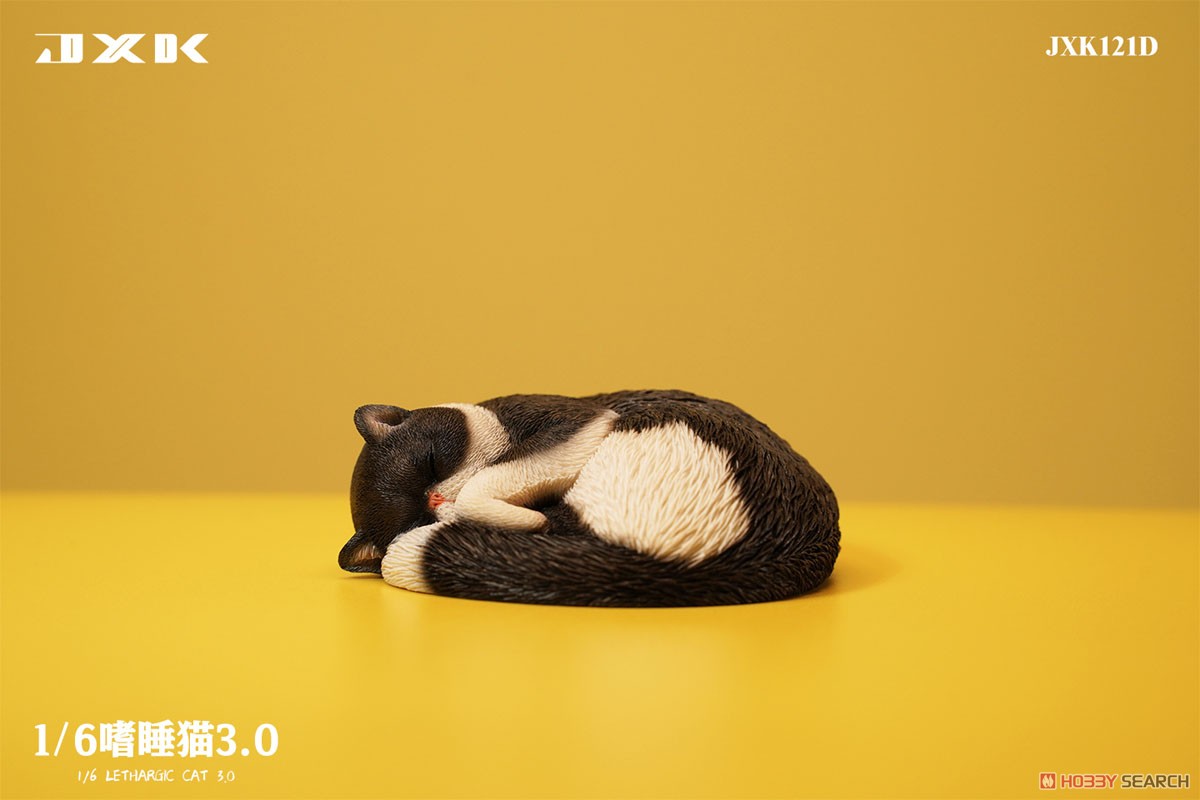 1/6 惰眠を貪る猫 3.0 D (ドール) 商品画像3