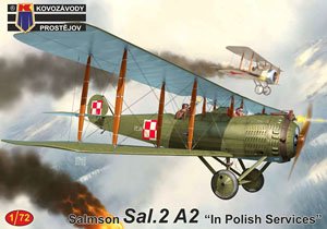 Salmson Sal.2A2 `In Polish Services` (Plastic model)
