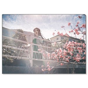 [Love Live! Sunshine!!] Clear File Aqours Riko [2] (Anime Toy)