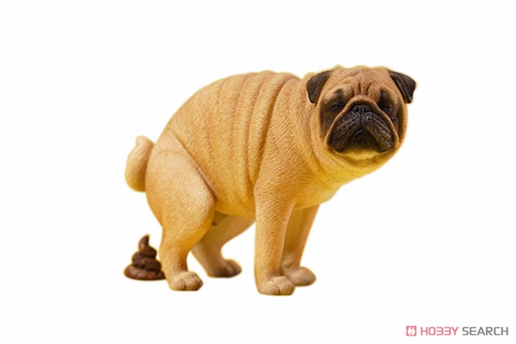 1/6 Pug Half Squat A (Fashion Doll) 商品画像1