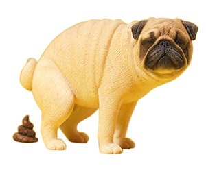 1/6 Pug Half Squat B (Fashion Doll)