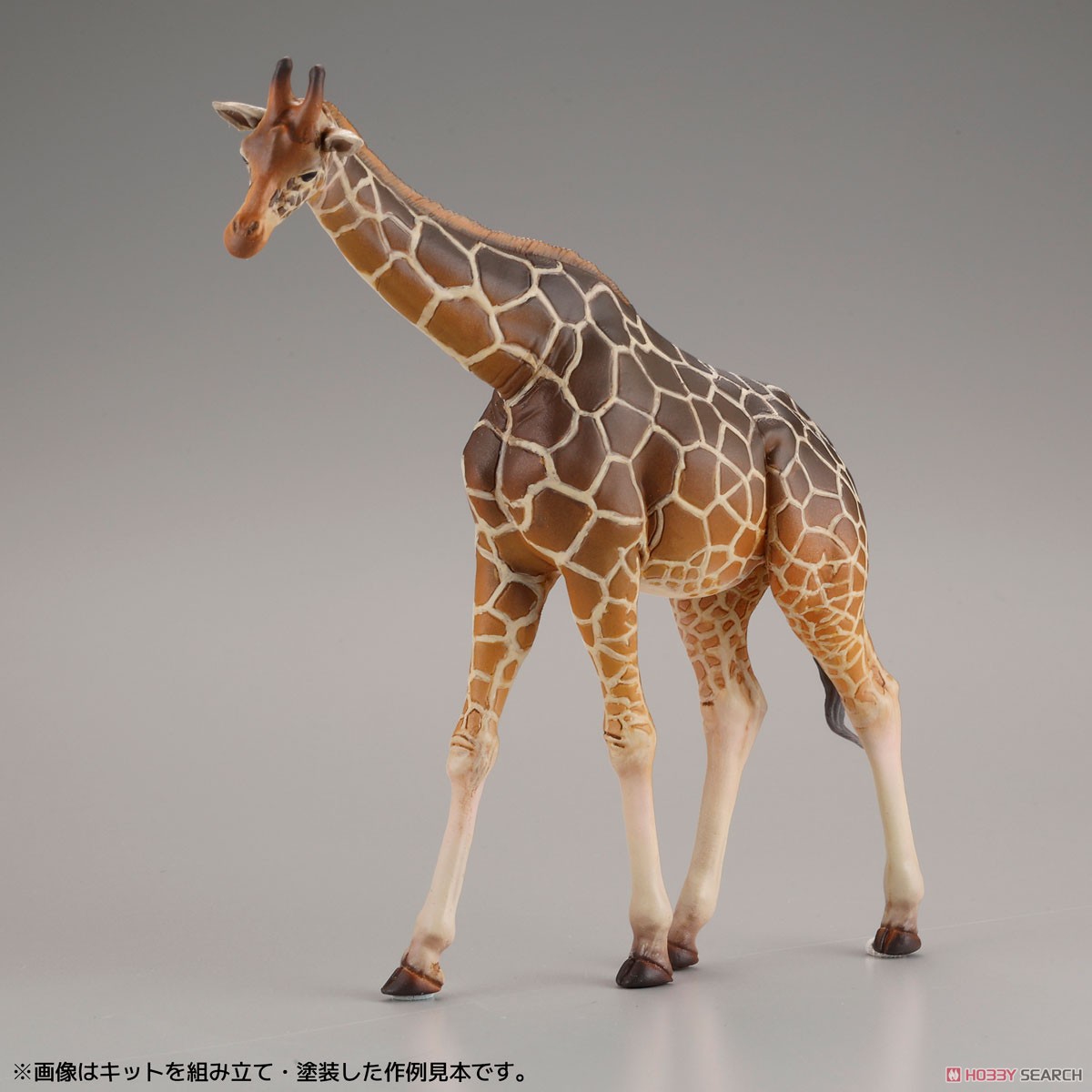 Artpla Tourists and Giraffe Set (Plastic model) Item picture8