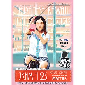 JK Figure Series JKHM-12S (1/12 Scale) (Plastic model)