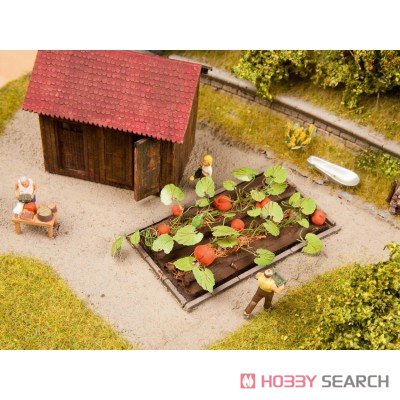 13219 (HO) Pumpkin (8 Pieces) (Model Train) Other picture1