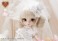 Pullip / Ange (Fashion Doll) 商品画像3 Thumbnail