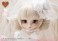 Pullip / Ange (Fashion Doll) 商品画像4 Thumbnail