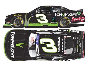 Jeffrey Earnhardt 2022 Foreverlawn Chevrolet Camaro NASCAR Xfinity Series 2022 (Diecast Car)