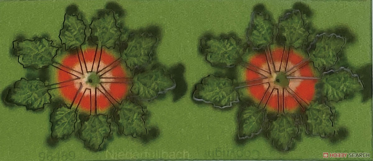 [多目的ジオラマ素材シリーズ] レーザーカット植物 ルバーブ (草丈12mm) (鉄道模型) 商品画像2