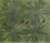 [多目的ジオラマ素材シリーズ] レーザーカット植物 アシ・大 (草丈20mm) (鉄道模型) 商品画像2