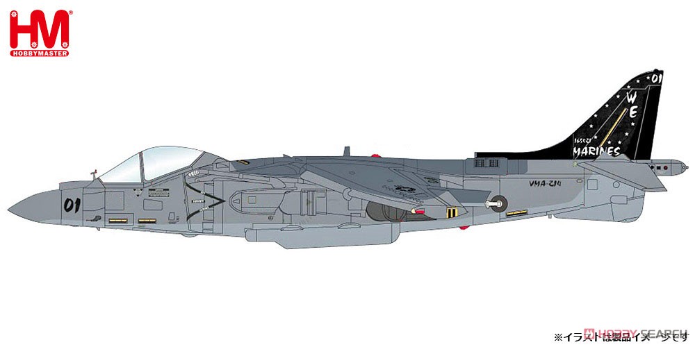 AV-8B ハリアーII＋ `VMA-214 アフガニスタン 2009` (完成品飛行機) その他の画像1