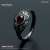 ダークソウル × TORCH TORCH/ リングコレクション: 生命の指輪 メンズモデル メンズ 17号 (完成品) 商品画像1