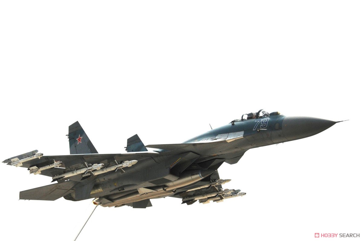 Su-27K SeaFlanker w/Kh-41 Moskit (Plastic model) Item picture10
