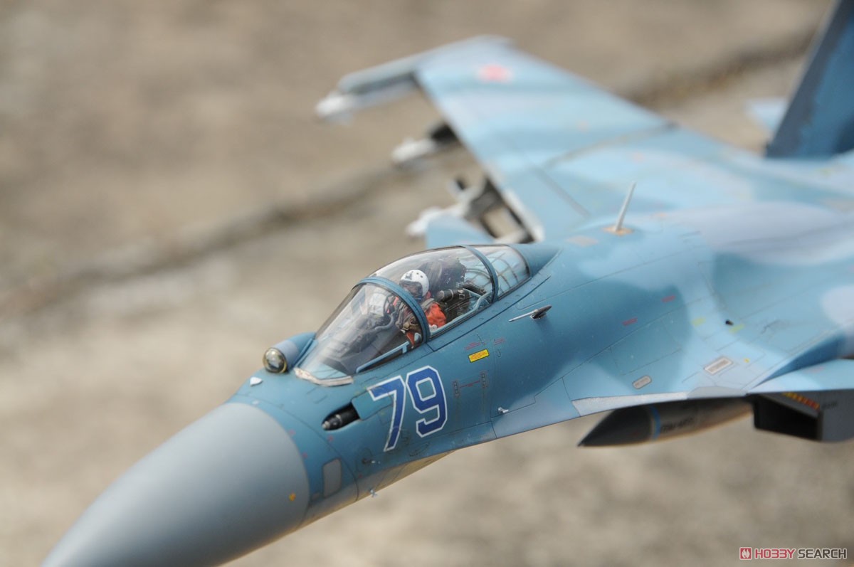 Su-27K SeaFlanker w/Kh-41 Moskit (Plastic model) Item picture6