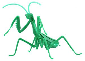 Biology Edition Big Mantis (Metallic Green) (Plastic model)