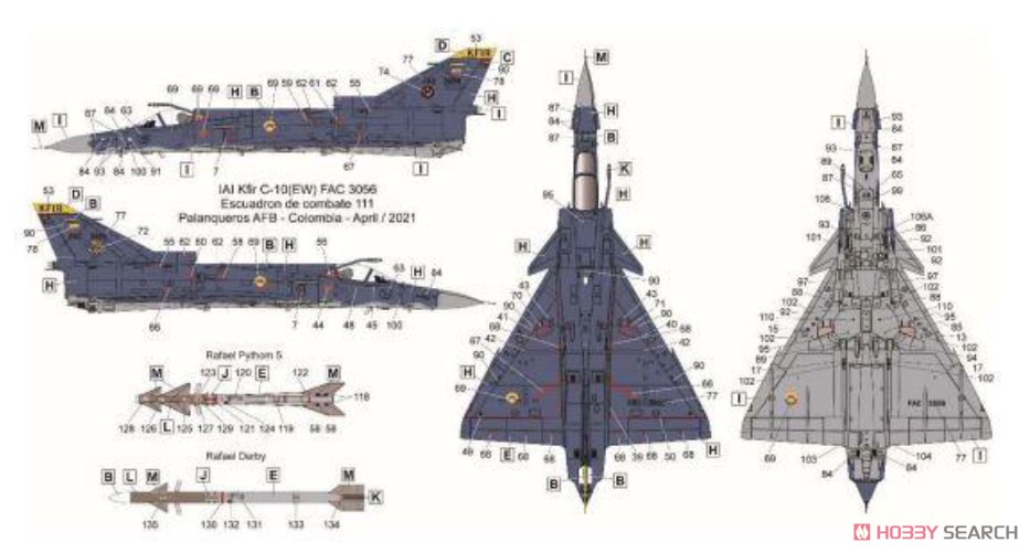 クフィル C10 `ラテンアメリカのクフィル` (プラモデル) 塗装2