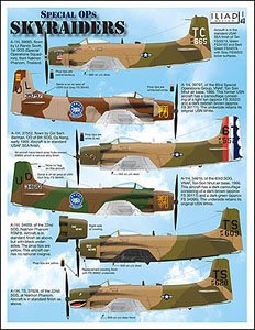 A-1 スカイレーダー 特殊作戦飛行隊 (デカール)