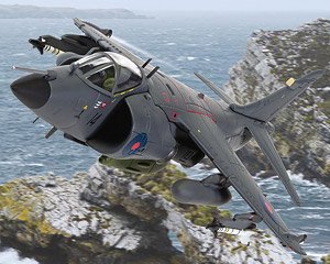British Aerospace, Sea Harrier FRS.1 XZ457/14, Lt. Cdr. Andy Auld (Pre-built Aircraft)