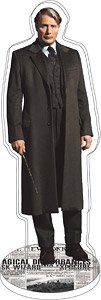 Fantastic Beasts Acrylic Stand Gellert Grindelwald (Anime Toy)